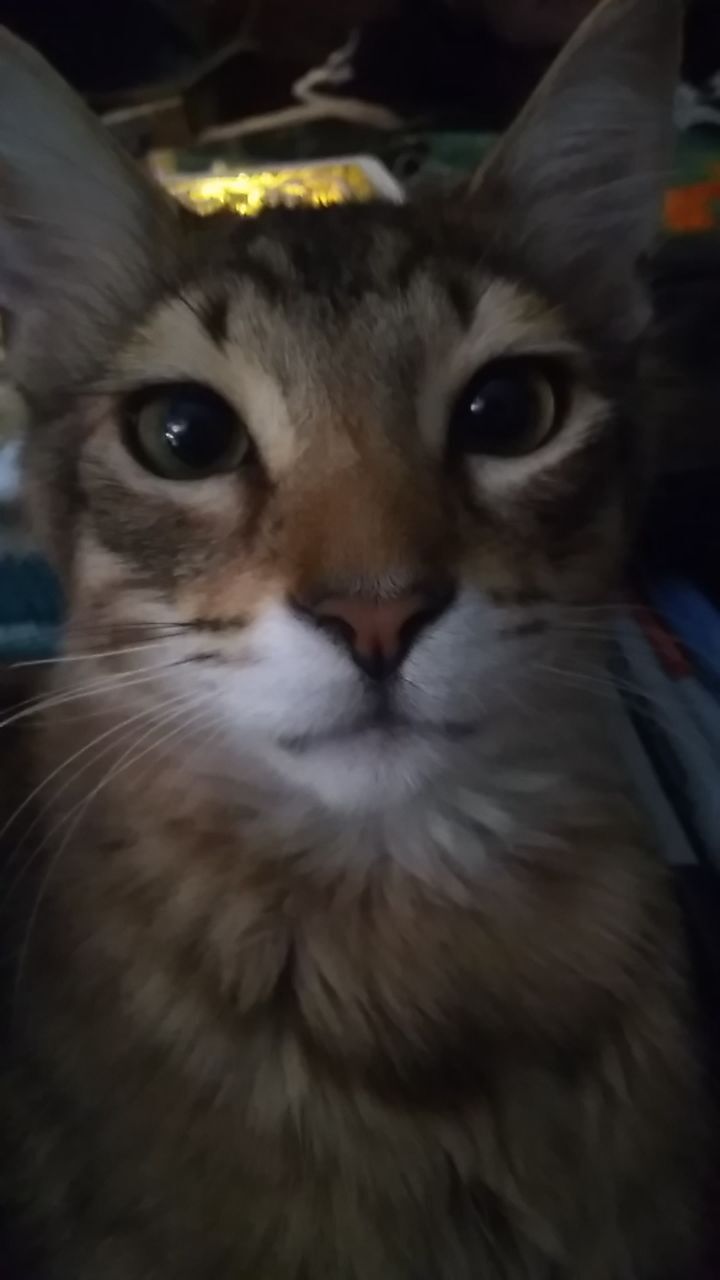 Pic of the Litter: Bubs